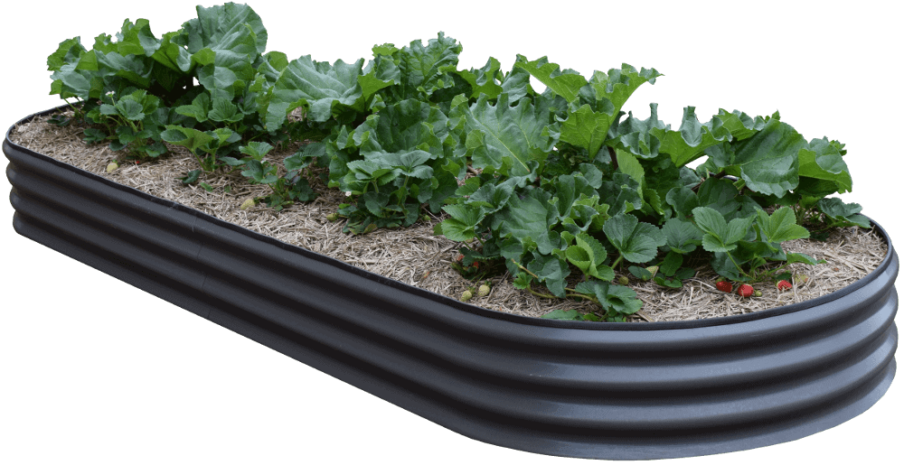 Garden Beds